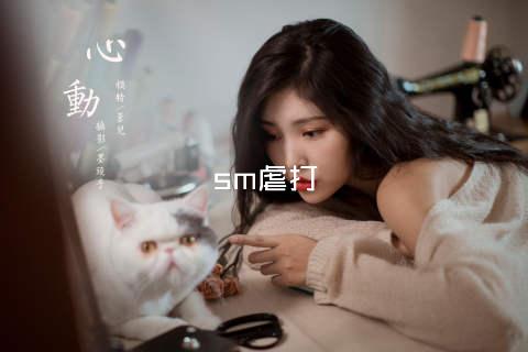 sm虐打